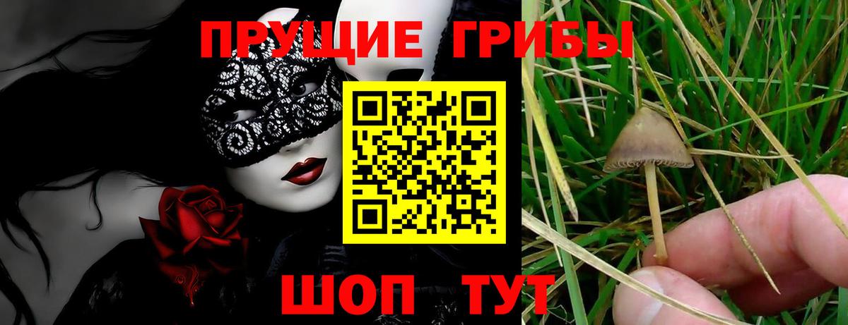 Белгород  Псилоцибиновые грибы Psilocybe  купить закладку  Вход с VPN 